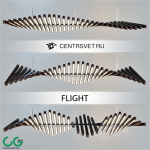 CENTRSVET_FLIGHT